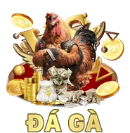 Điều khoản dịch vụ